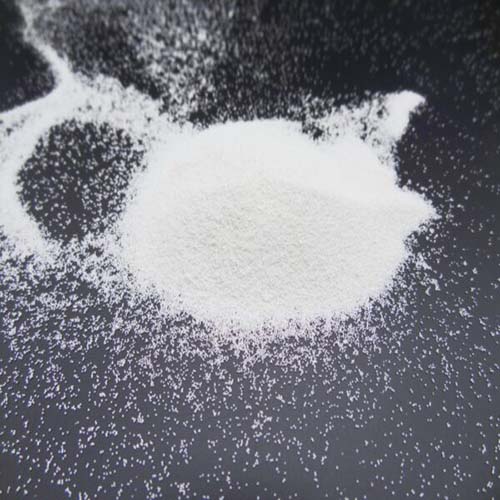 DSC02430_Cópia-600x450