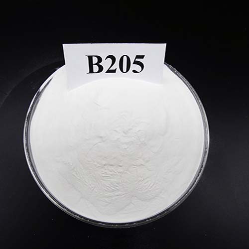 DSC02480_Cópia à escala